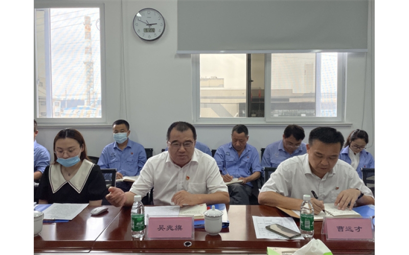 海南控股直属机关党委副书记吴兆旗同志到银河集团调研检查“6+1”事情