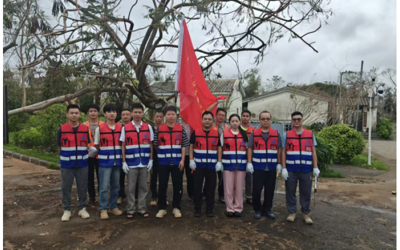 党旗飘扬战风雨，，，先锋引领促复工——三鑫晶品党员先锋队助力在建项目复工复产